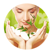 herbal_beauty_products_1441529002